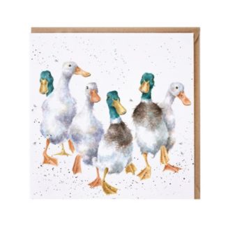 Wrendale Designs Quackers Greeting Card