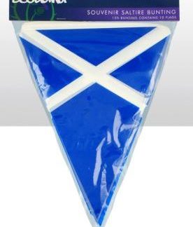 Saltire PVC Triangular Bunting 10 Flags