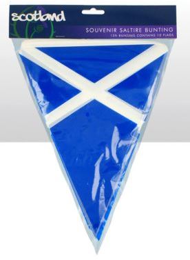 Saltire PVC Triangular Bunting 10 Flags