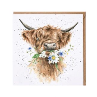 Wrendale Greeting Card Daisy Coo