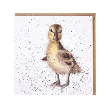 Wrendale Design Greeting Card Just Hatched