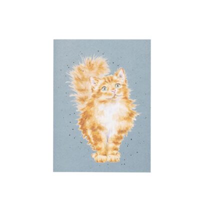 Just Purr-fect Cat A6 Notebook