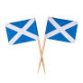 Scotland Solitaire Toothpick Flag x 100