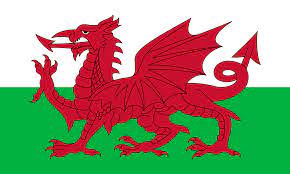 Wales Flag Large 8x5