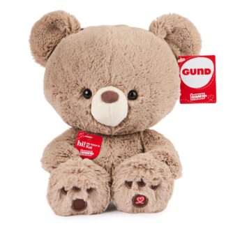 Gund Bear Forever Friends Kai