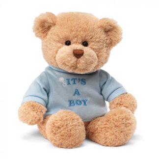 Gund Bear Its A Boy Message Bear Blue