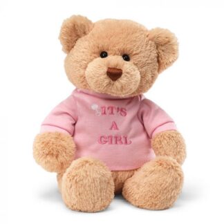Gund Bear Its A Girl Message Bear PINK