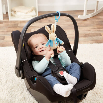 Beatrix Potter Peter Rabbit Jiggle Attachable